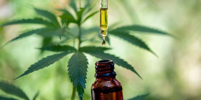 Est-ce que le CBD fait tourner la tête ?